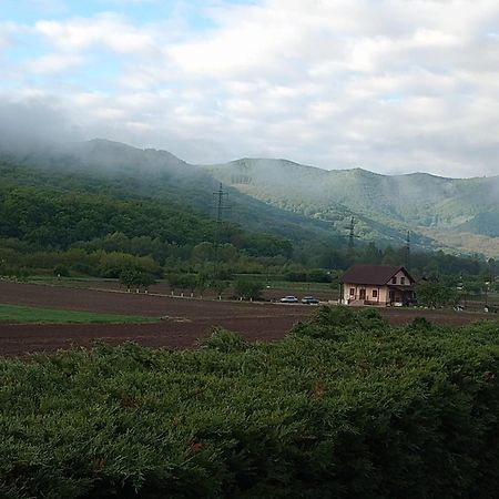 Vila Gosen Sard Zewnętrze zdjęcie